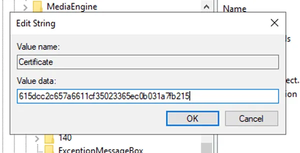 Enable Encryption for Microsoft SQL Server Connections image 4